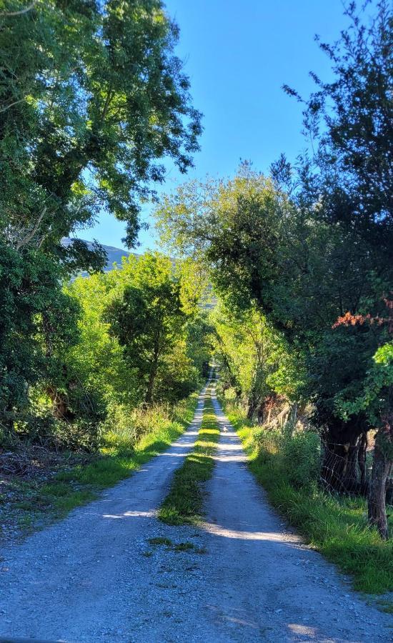 Oaklane Glamping Cabins ケンメア エクステリア 写真